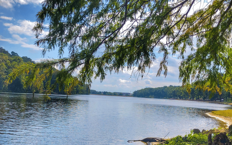 Lost Bridge North Park