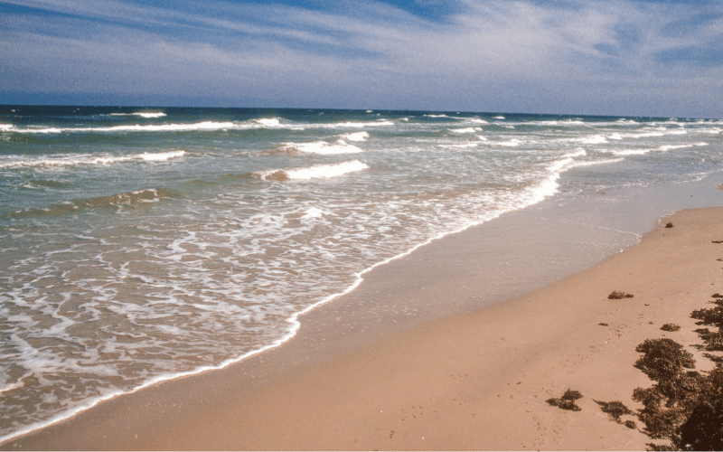 Padre Island National Seashore