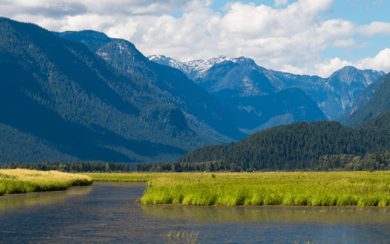 Pitt-Addington Marsh