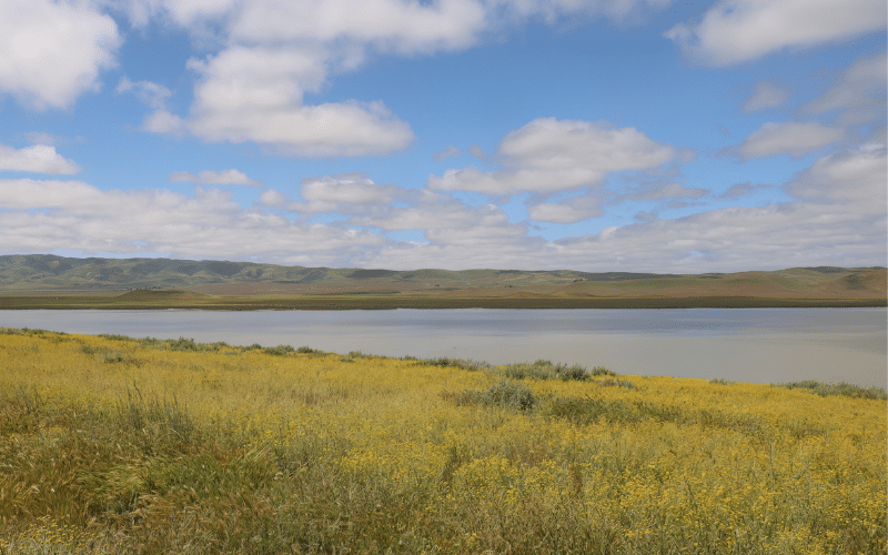 2 Best Places to Paddle Board in Soda Lake, CA