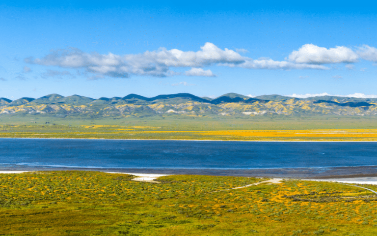 Soda Lake