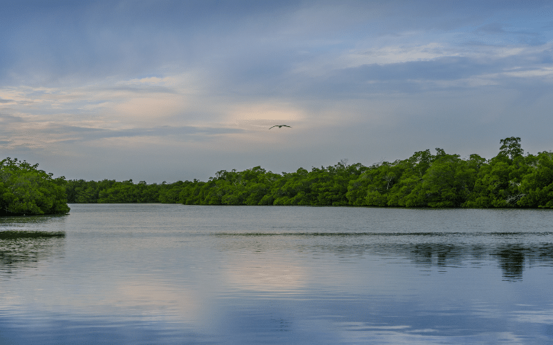 Thousand Islands Conservation Area