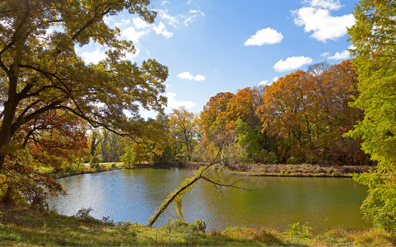 Washington Park Arboretum