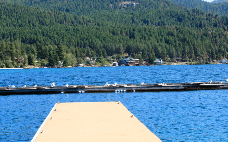 Woods Bay Flathead Lake