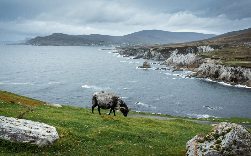 Achill Island