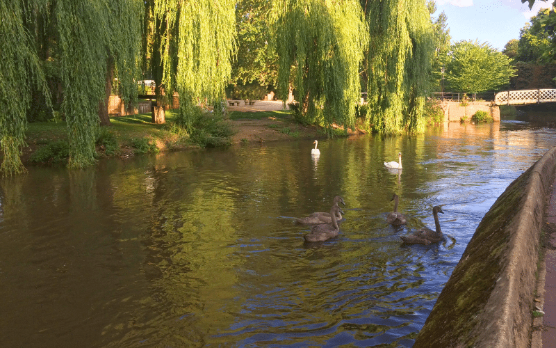 Best Places to Paddle Board in Guildford, UK
