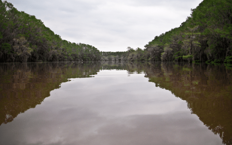 Caddo River