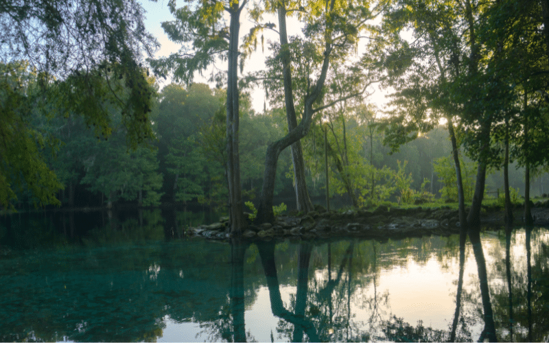 6 Best Places to Paddle Board in Ginnie Springs, FL