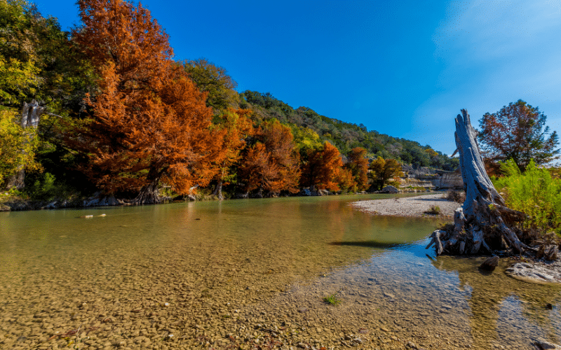 Guadalupe River State Park