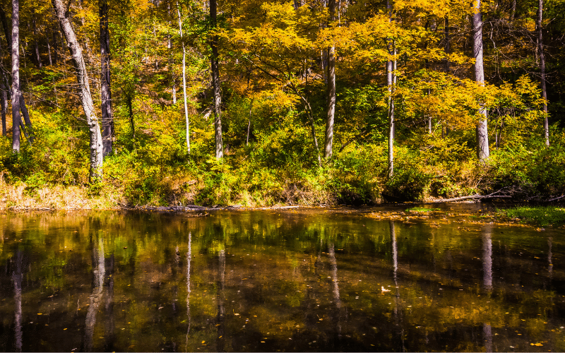 Gunpowder Falls State Park