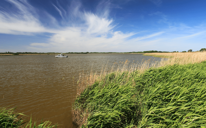 Hickling Broad
