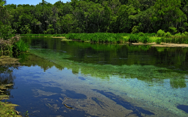 6 Best Places to Paddle Board in Ginnie Springs, FL