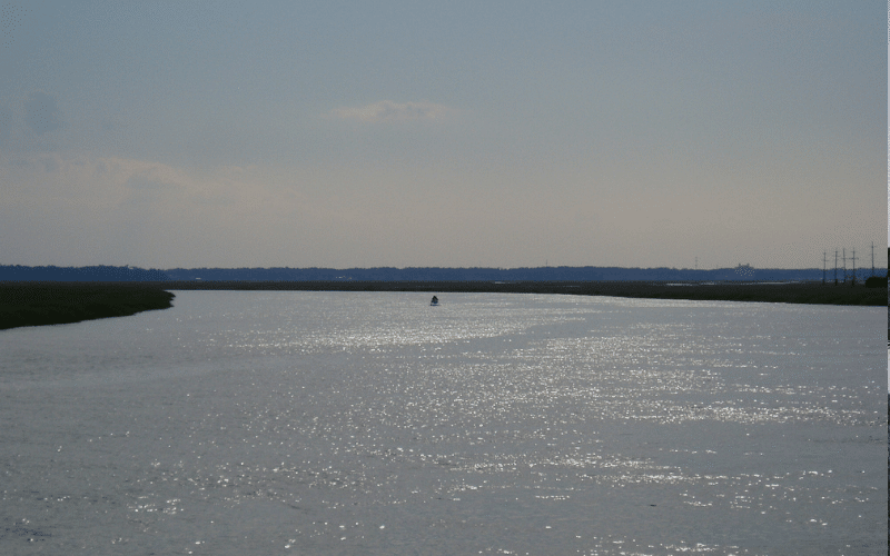 6 Best Places to Paddle Board in Savannah, GA