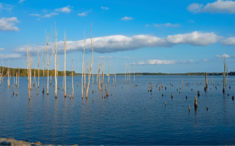 Manasquan Reservoir