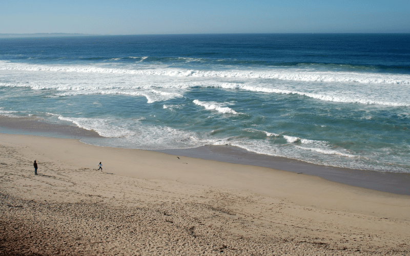 Marina State Beach