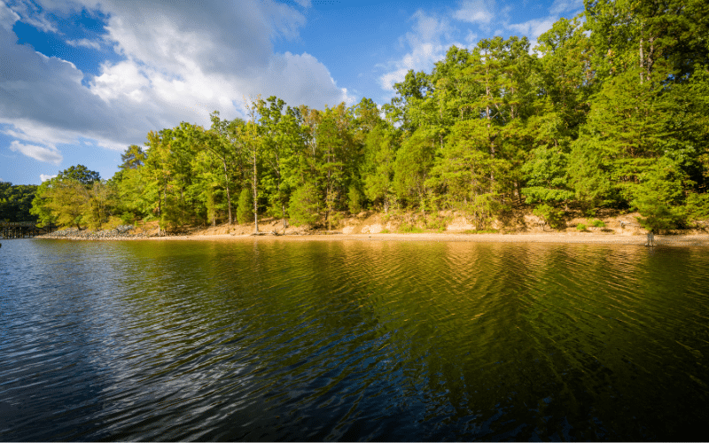 McDowell Nature Preserve