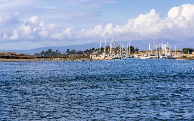 Moss Landing State Beach