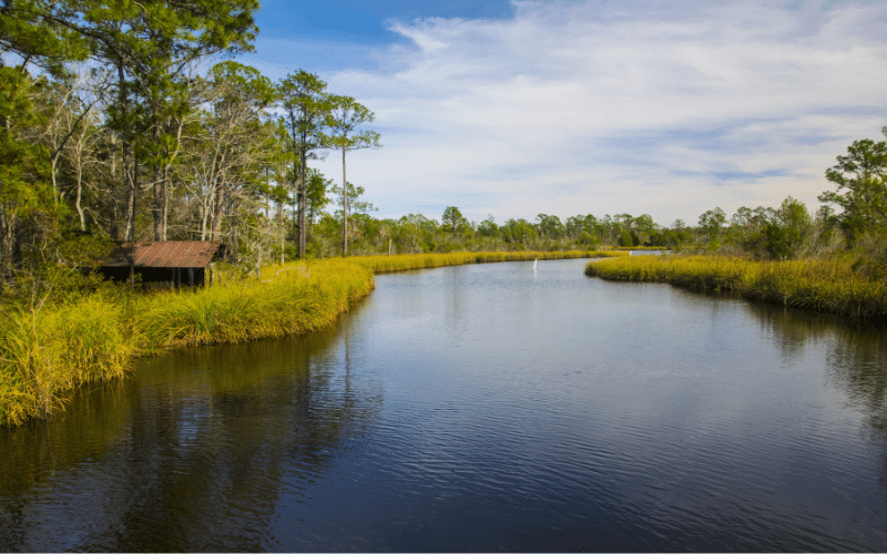 Old Fort Bayou Mississippi