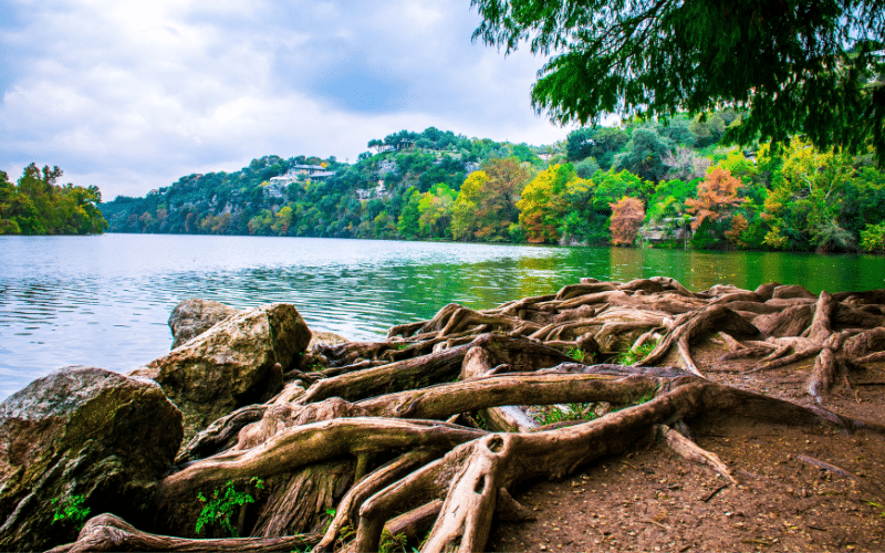 Red Bud Isle