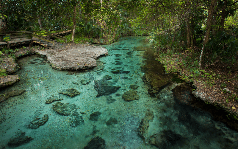Rock Springs Run at Kelly Park