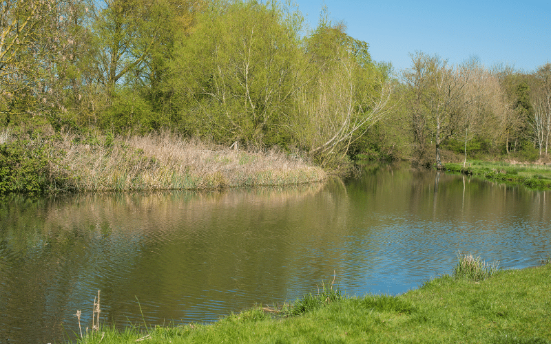Whitlingham Country Park