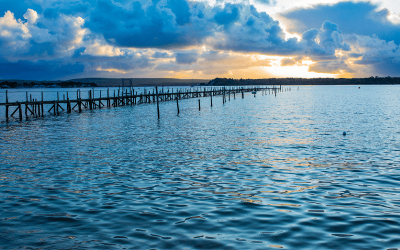 6 Best Places to Paddle Board in Dorset, UK