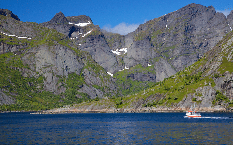 Reinefjorden