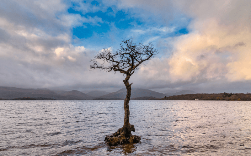 Milarrochy Bay
