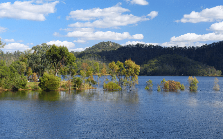 Best Places to Paddle Board in Enoggera Reservoir, AUS