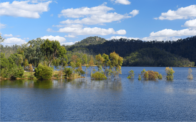 Best Places to Paddle Board in Enoggera Reservoir, AUS