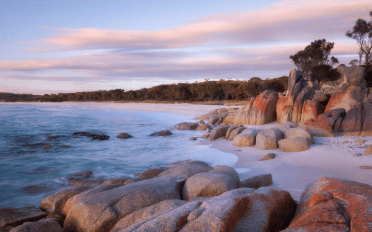 Best Places to Paddle Board in Torquay, AUS