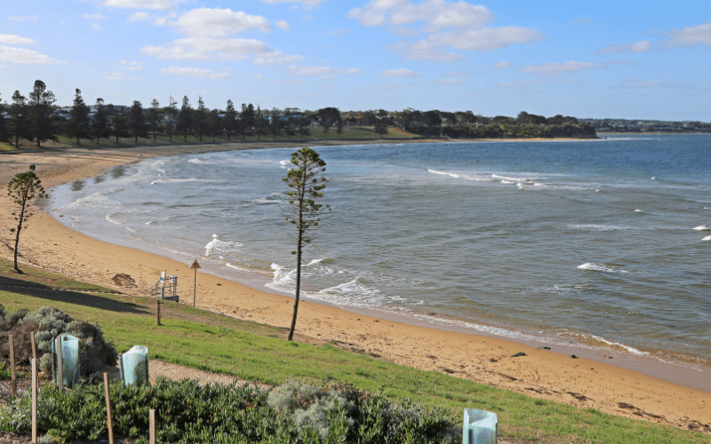 6 Best Places to Paddle Board in Torquay, AUS