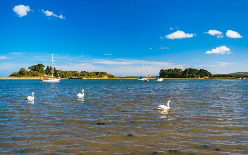 Shipstal Beach, Arne