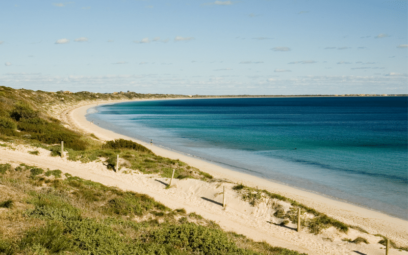 Best Places to Paddle Board in Mornington, AUS