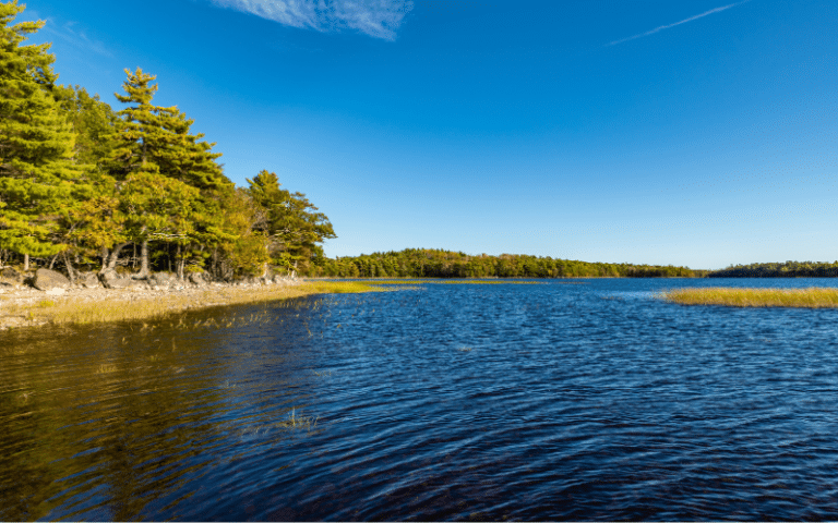 Best Places to Paddle Board in Nova Scotia, CAN