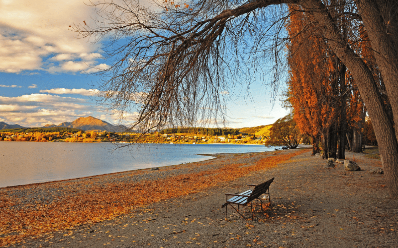 Lake Wanaka