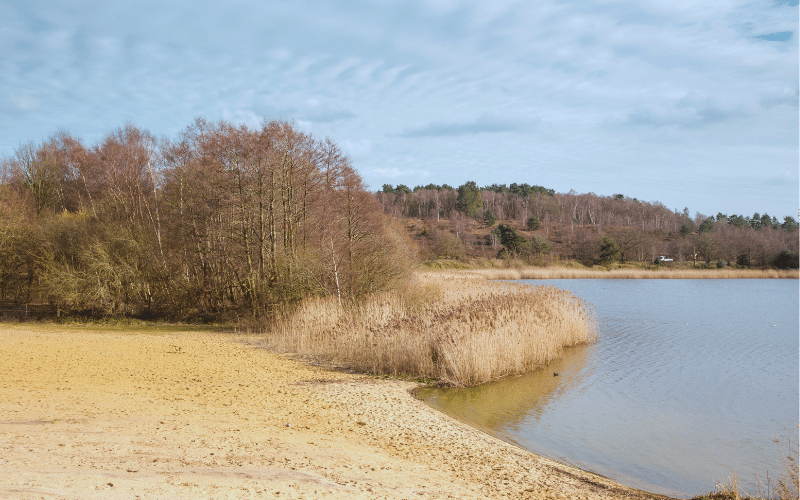 Frensham Great Pond