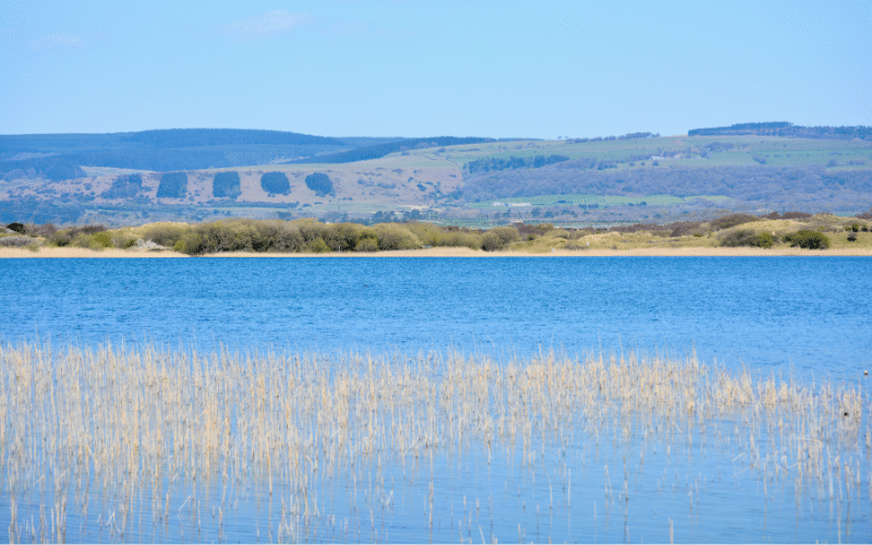 Kenfig Pool