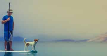 stand up paddler mit hund