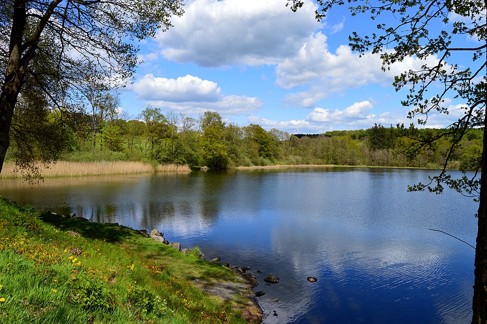 Dreifelder Weiher im Westerwald