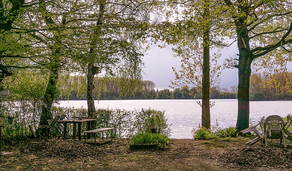 Otterstädter Altrhein bei Otterstadt