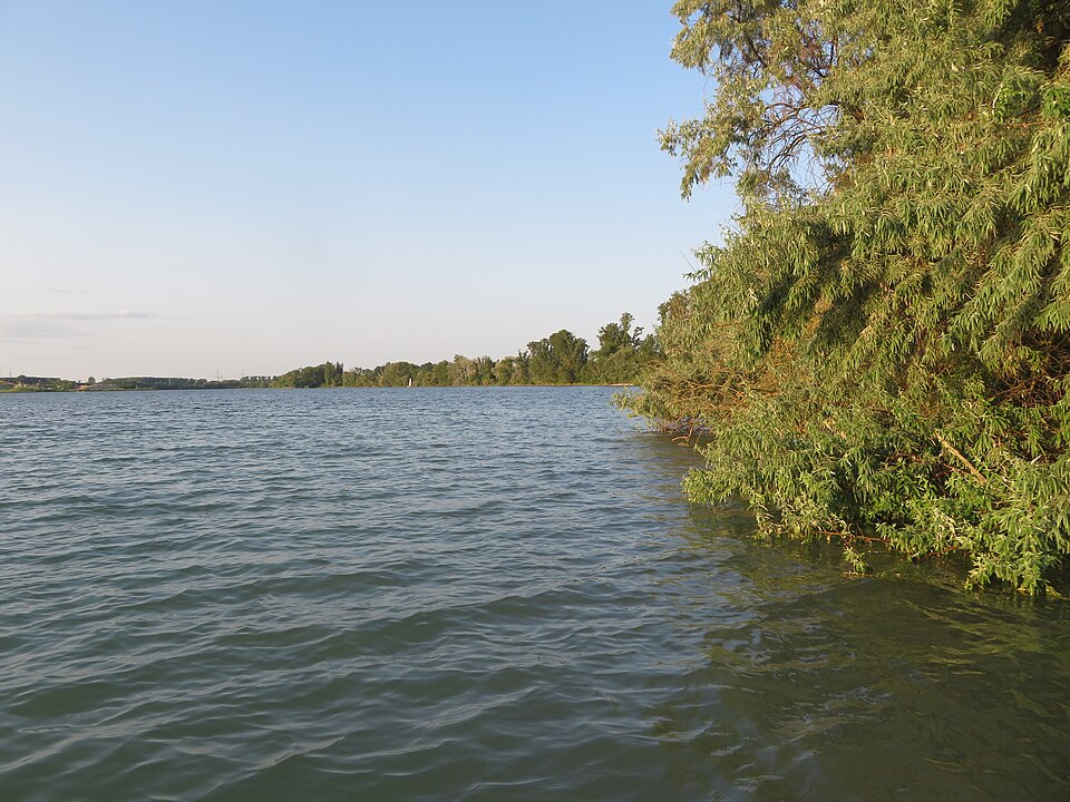 Silbersee bei Bobenheim-Roxheim