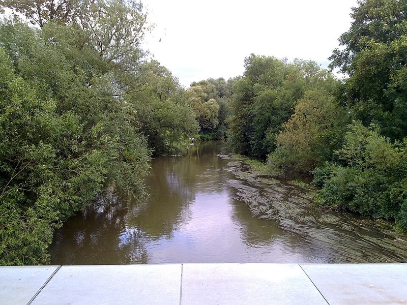 Weiße Elster in Leipzig