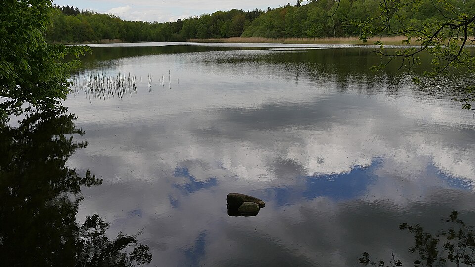 Bredenbeker Teich bei Ahrensburg