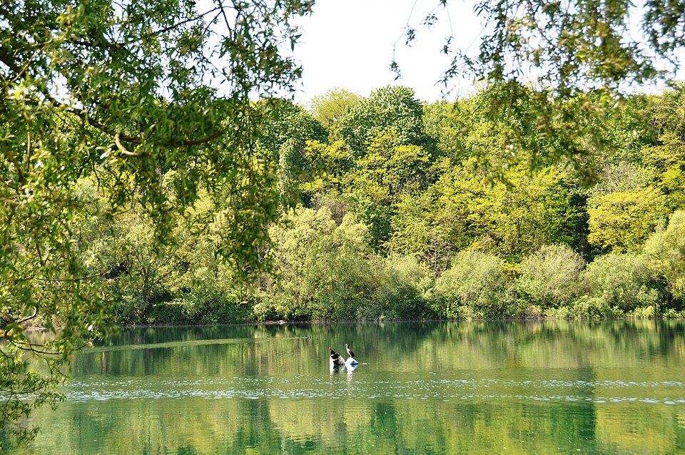 Fühlinger See