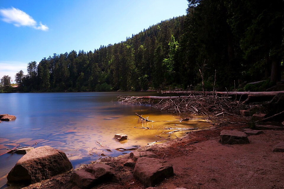 Mummelsee an der Schwarzwaldhochstraße