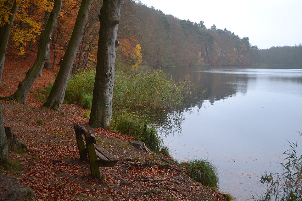 Schmalsee bei Mölln