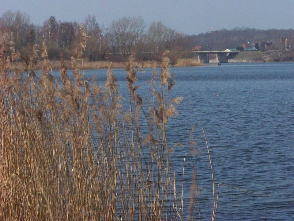 Muldestausee