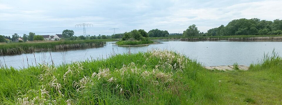 Talsperre Windischleuba